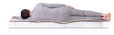 Матрас Dreamline Dream-1 S-1000 180х220х17